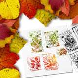 Craspire Custom PVC Plastic Clear Stamps, for DIY Scrapbooking, Photo Album Decorative, Cards Making, Leaf Pattern, 160x110x3mm