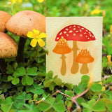 Craspire Mushroom Blessings Clear Silicone Stamp Seal for Card Making Decoration and DIY Scrapbooking