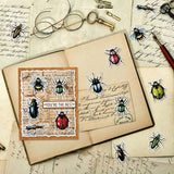 Craspire Insect Clear Stamps Seal for Card Making Decoration and DIY Scrapbooking