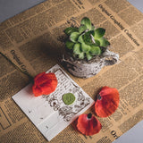 Craspire Vintage Mushroom Frame Clear Silicone Stamp Seal for Card Making Decoration and DIY Scrapbooking