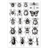 Craspire Insect Clear Stamps Seal for Card Making Decoration and DIY Scrapbooking