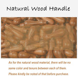 Wax Seal Stamp Woodpecker Animal
