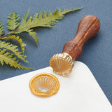 Shell Shaped Wood Handle Wax Seal Stamp