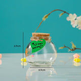 20 pcs Ball-Shaped Glass Empty Wishing Bottle, with Cork Stopper & Random Style Paper Tags & Jute Twine, for DIY Craft Making, Clear, 6.9x6.9cm