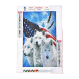 Craspire 5D DIY Diamond Painting Animals Canvas Kits, with Resin Rhinestones, Diamond Sticky Pen, Tray Plate and Glue Clay, Wolf Pattern, 30x20x0.02cm, 4Set/Pack