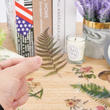 240 Pieces Scrapbook Stickers Set Tropical Plants Theme