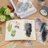 240 Pieces Scrapbook Stickers Set Tropical Plants Theme