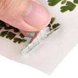 Craspire Plastic Self Adhesive Stickers, Plant Pattern, Leaf Pattern, 15x10.5x0.01cm, 10sheets/set