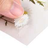 Craspire Plastic Self Adhesive Stickers, Flower Pattern, Flower Pattern, 15x10.5x0.01cm, 10sheets/set