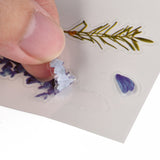 Craspire Plastic Self Adhesive Stickers, Flower Pattern, Medium Slate Blue, 15x10.5x0.01cm, 10sheets/set