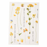 Craspire Plastic Self Adhesive Stickers, Flower Pattern, Gold, 15x10.5x0.01cm, 10sheets/set