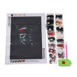 Craspire DIY 5D Diamond Painting Halloween Canvas Kits, with Resin Rhinestones, Diamond Sticky Pen, Tray Plate and Glue Clay, Skull Pattern, 2Set/Pack