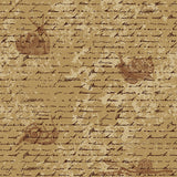 Craspire PVC Plastic Stamps, for DIY Scrapbooking, Photo Album Decorative, Cards Making, Stamp Sheets, Film Frame, Snail Pattern, 16x11x0.3cm