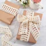 1 Set 10 Yards Cotton Tassel Fringe Trim, 2 Inch Lace Fibre Tassel Fringe Trim Antique White Lace Ribbon for Sewing Edging Trimming Curtain Blanket Hanging Rugs Clothing Home Decor