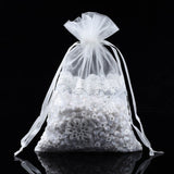 100 pc Acrylic Fibres Drawstring Gift Bags, for Jewelry & Baby Showers Packaging Wedding Favor Bag, Clear, 23~24x16~17x0.3cm