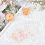 1 Set 290Pcs OPP Cellophane Bags Clear Plastic Self Sealing Envelope Crystal Bag about 3.9x2.7 Inches for Packaging Jewelry Cookie Candy DIY Small Items, Orange Series Color