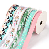 3Rolls Polyester Ribbons, with 2Rolls Grosgrain Ribbons, for Gift Packaging, Mixed Color, 3/8~5/8 inch(9.7~16mm); 1m/roll; 5rolls/set
