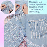 6.5 Yards Encryption Sequins Lace Tassel Fringe Trim, 6 Inch Metallic Sequin Trim Bling Sewing Fringe Trim Embellishment for DIY Crafts Dance Stage Costume Clothing Dress Home Decor