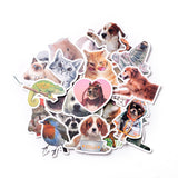 Craspire Waterproof Self Adhesive Paper Stickers, for Suitcase, Skateboard, Refrigerator, Helmet, Mobile Phone Shell, Animal Pattern, 42~74x40~80x0.2mm, about 52pcs/bag