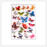 Filler Stickers(No Adhesive on the back), for UV Resin, Epoxy Resin Jewelry Craft Making, Butterfly, Mixed Color, 15x10cm